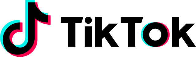 TikTok Logo